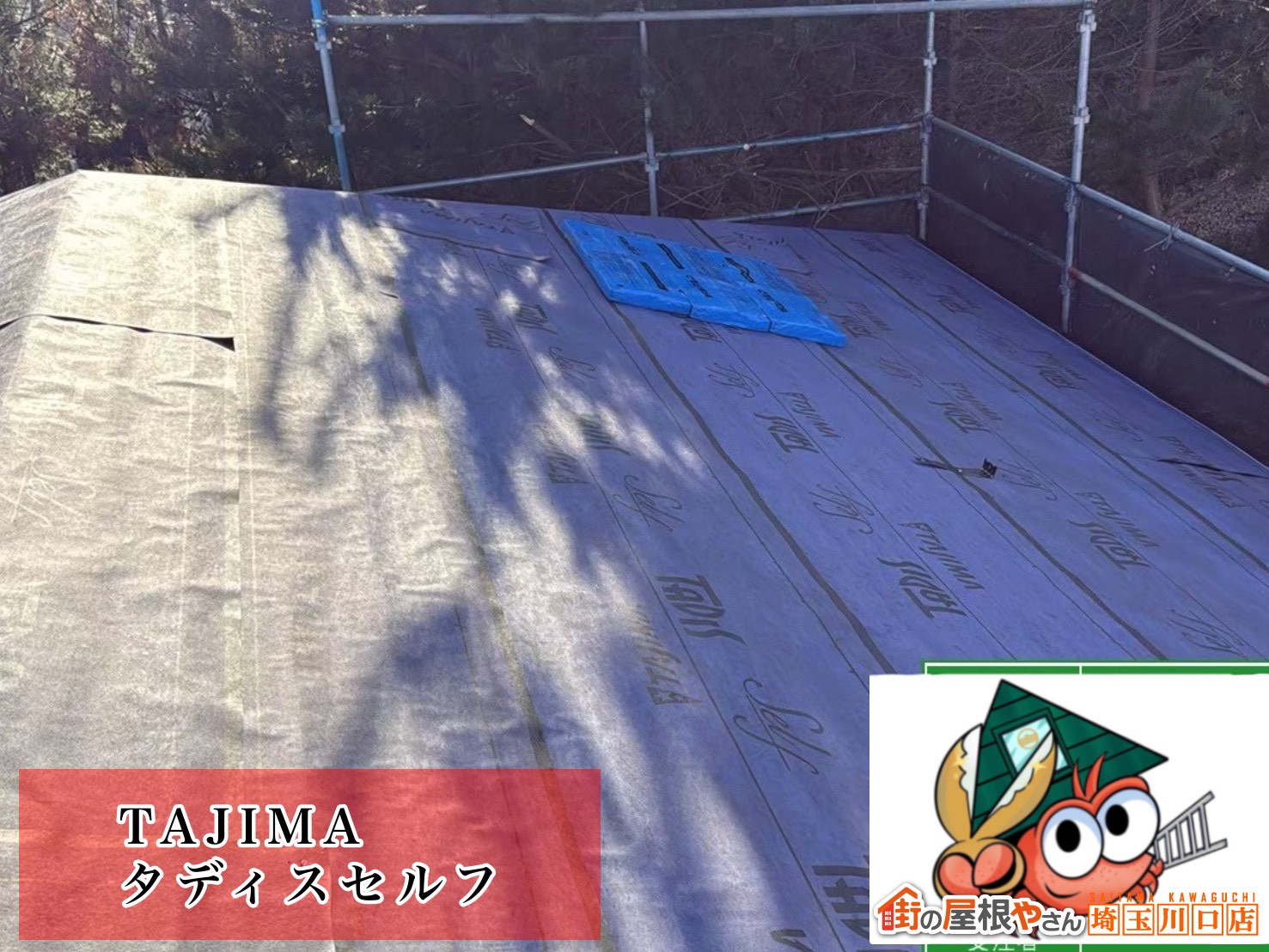 TAJIMA　タディスセルフ